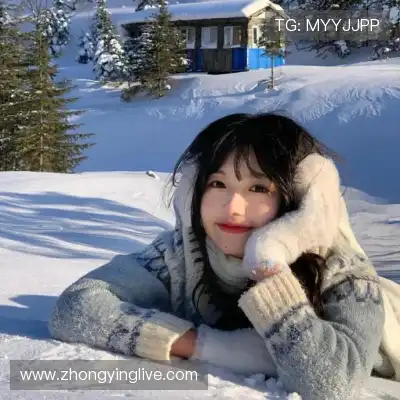 赵鸽